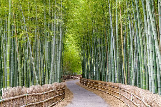 istock 