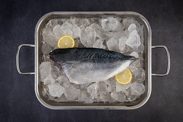 istock Fresh Mackerel on Ice with Lemon Slices in a Metal Tray 2243135174