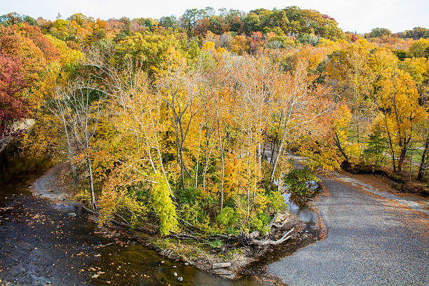 istock River Island in Vibrant Autumn 2243135944