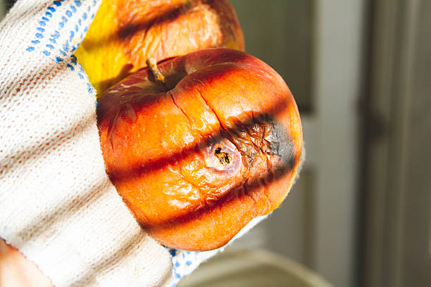Rotten apple in sun. Rotting fruit. Diseases of apple fruit. Pest control..
