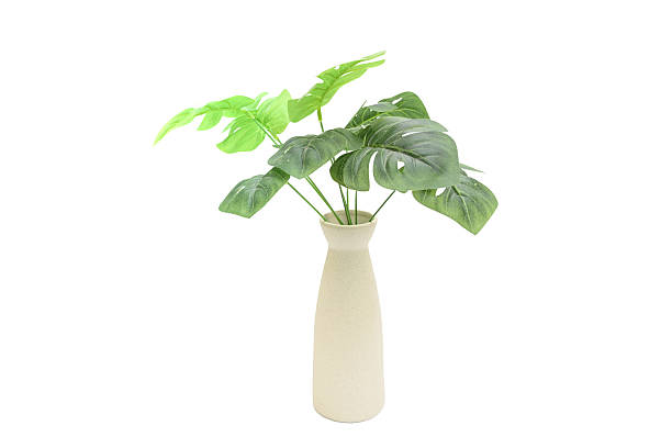istock Decorative vase with artificial leaves isolated on white 2243151468