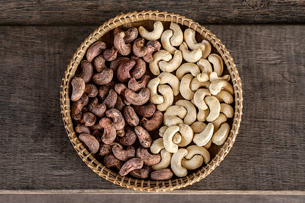 organic cashew nuts in cambodia farm