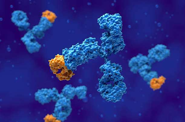 istock Monoclonal antibody (mAb) therapy - 3d illustration closeup view 2243155521
