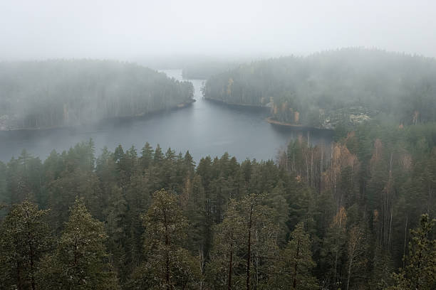 istock Mist over the lake. Repovesi Natural Park 2243156985
