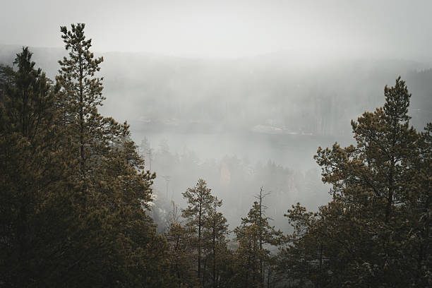 Fog on the river. Repovesi Natural Park