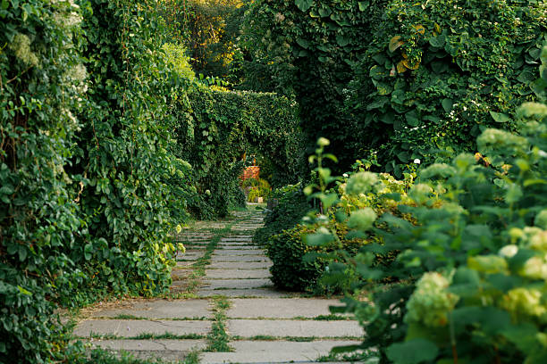 garden floral foot path paved road way under arch shape natural passage outside spring environment space for green leaves of plants