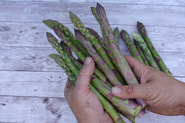 istock Harvesting fresh asparagus on rustic wooden table 2243162035