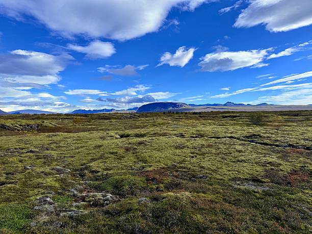 istock Almannagja Gorge in Thingvellir National Park, Iceland 2243177314