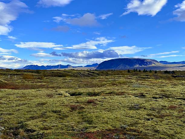 istock Almannagja Gorge in Thingvellir National Park, Iceland 2243177321