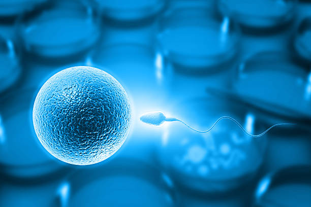 istock Egg and sperm on abstract scientific background 2243181524