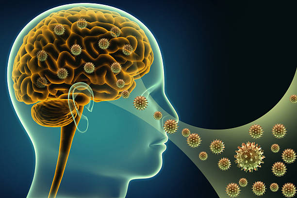 istock Amebic meningoencephalitis concept 2243181557