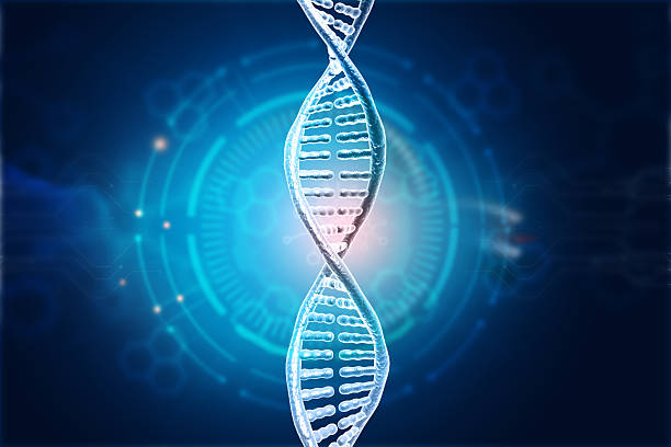 istock DNA strand, dna helix on scientific background 2243182425