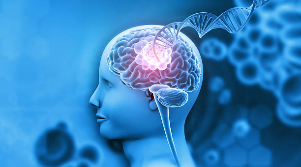 istock Human brain cancer concept with dna 2243182616