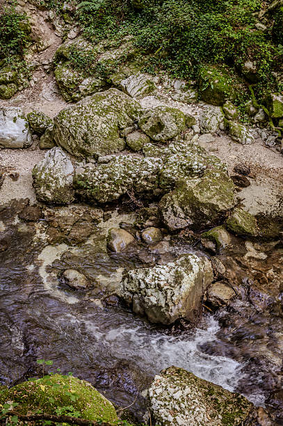 Over millions of years, the Orfento River (in the municipality of Caramanico Terme) has carved out a narrow gorge now covered by dense riparian vegetation featuring willows, ferns, and mosses.