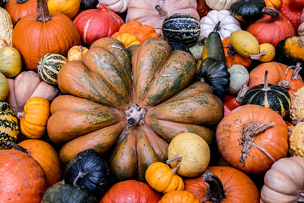 istock Pumpkin Halloween Decorations At A Stately Home 2243191519