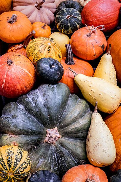 istock Pumpkin Halloween Decorations At A Stately Home 2243191523