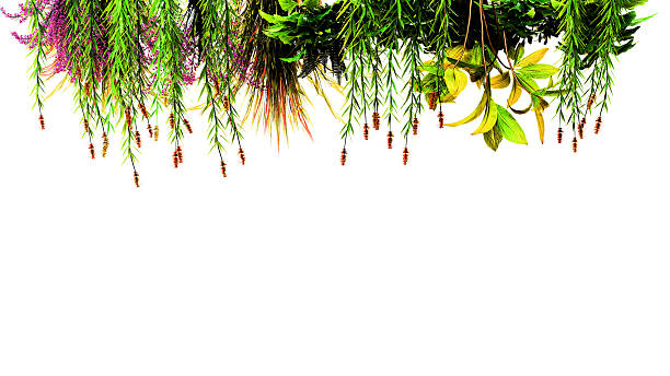 istock Upside down garden border with trailing leaves and flowers 2243191665