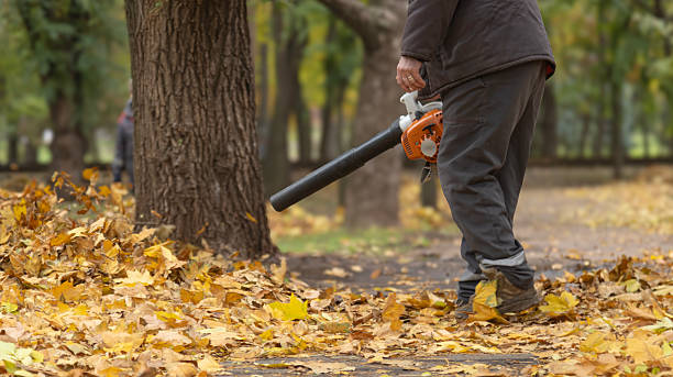 istock A street cleaner blows autumn leaves off the sidewalk with a leaf blower while standing against a soft blur background of park nature. 2243202977