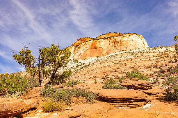 Zion National Park, located in southwestern Utah, is renowned for its breathtaking red sandstone cliffs, narrow slot canyons, and diverse landscapes. Established in 1919, it spans over 146,000 acres and showcases the beauty of the Virgin River, which has carved dramatic formations like Zion Canyon. Popular hikes such as Angels Landing and The Narrows offer thrilling experiences and stunning views. The park’s rich biodiversity includes desert wildlife, lush valleys, and hanging gardens. Visitors are drawn year-round to explore its scenic drives, trails, and unique geology, making Zion a symbol of the American Southwest’s natural splendor and timeless beauty.