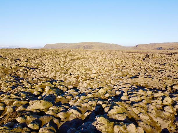 Moss-Covered Lava Field in Eldhraun, South Iceland, Unique Volcanic Landscape