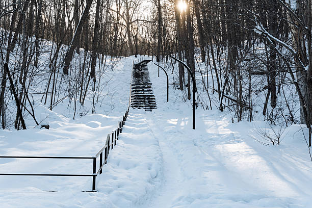 istock The sun is shining through the trees on a snowy path in the woods 2243211969