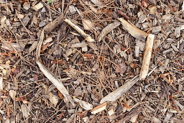 A close-up view shows the natural texture of wood chips and pine needles on the ground.