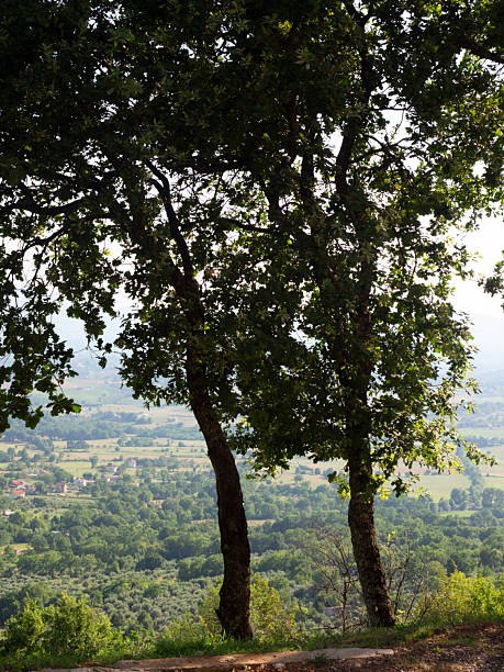 San Donato Val di Comino, FRIULI, July 2020. Landscape from the medieval village.