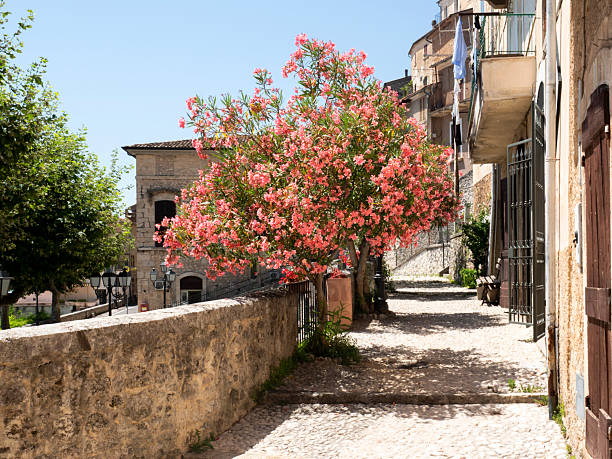 Cesi, Terni, Umbria, Italy:Characteristic view with flowers in the foreground