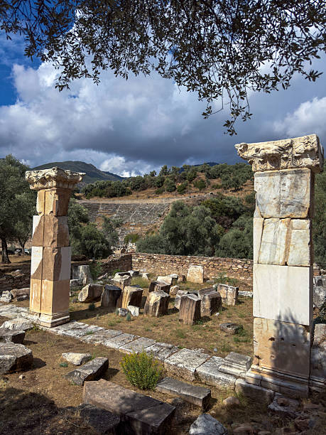 istock Ancient Columns and Olive Trees in Front of Nysa Theatre 2243213824