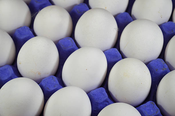 Pile of organic fresh and raw hen chicken white eggs, stack of eggs ready to be cooked in various cuisines, selective focus of eggs which consists of egg yolk and white part albumen