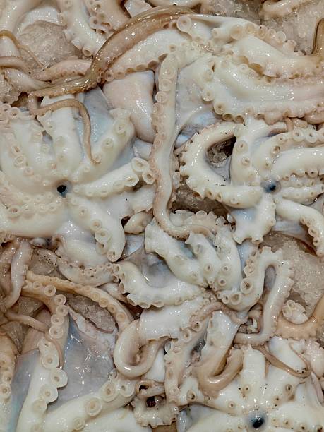 Octopuses on ice in the supermarket
