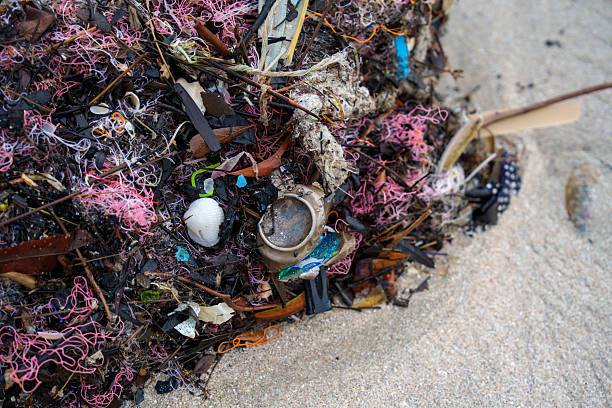 A tangled mass of fishing net, plastic waste, and debris washed up on a sandy beach, illustrating marine pollution and the negative effects of human activity on the ocean environment. The image highlights environmental conservation issues and the importance of reducing plastic waste.