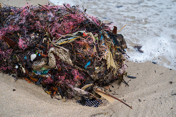 A tangled mass of fishing net, plastic waste, and debris washed up on a sandy beach, illustrating marine pollution and the negative effects of human activity on the ocean environment. The image highlights environmental conservation issues and the importance of reducing plastic waste.