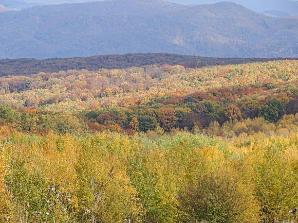 istock Autumn landscape during an October day, In Romania 2243228164