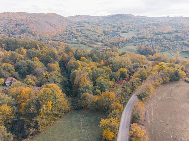 istock Autumn in countryside 2243229910