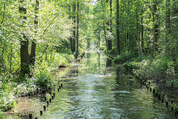istock River channel by spreewald germany 2243231901