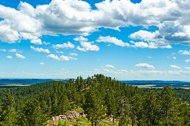 istock Wind Cave National Park, South Dakota 2243232167
