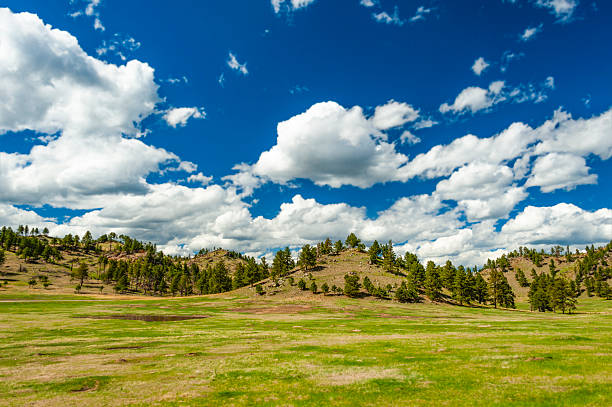 Breathtaking scenery of the Wind Cave National Park, South Dakota