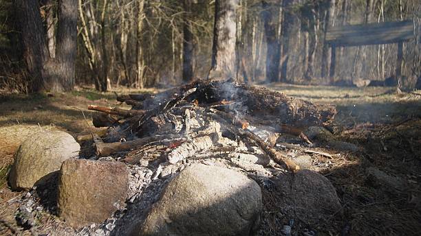A warm campfire crackles in a forest clearing, emitting soft smoke, with stones encircling the flames, perfect for a gathering in nature during a tranquil afternoon.