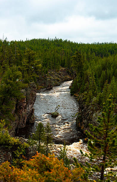istock Yellowstone National Park 2243240755