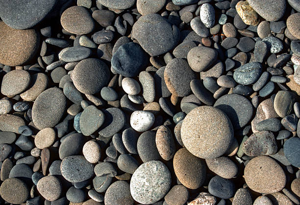 Olympic NP - Rialto Beach - Weather-Worn Stones - 1989