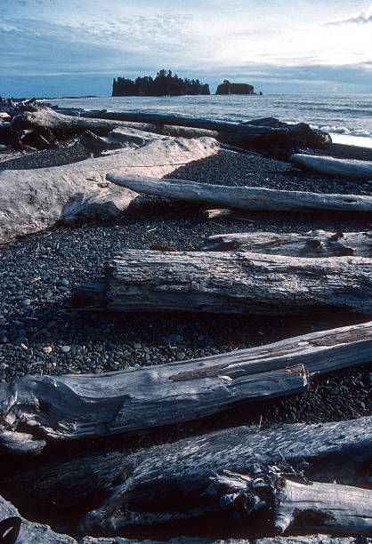 istock Olympic NP - Rialto Beach - Driftwood & Ocean - 1989 2243241779