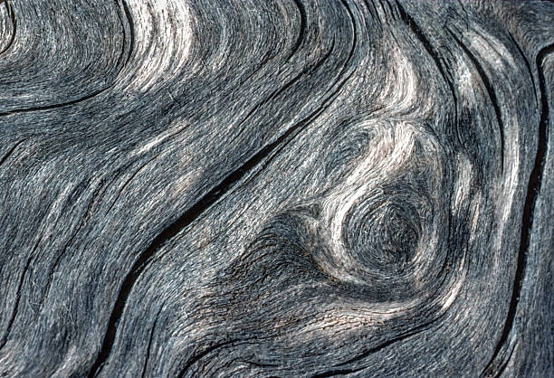 Olympic NP - Rialto Beach - Whorling Patterns in Wood - 1989