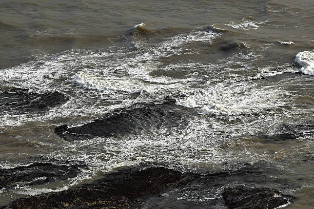 Dungy Head, in March, near West Lulworth, Dorset, England, United Kingdom