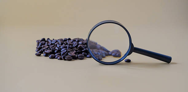 Roasted coffee beans under magnifying glass. quality concept.