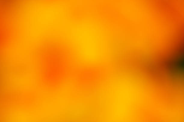 istock Artistic blurry colorful wallpaper background 2243246393