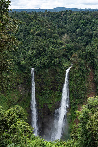 istock Tad fane twin waterfalls flowing through lush green forest 2243247832