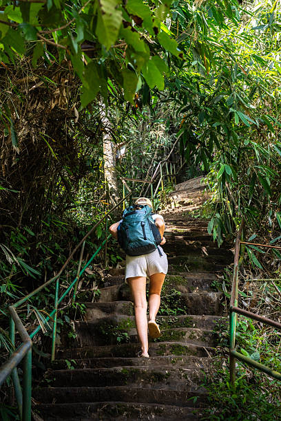 istock Woman hiking jungle stairs with backpack 2243247854