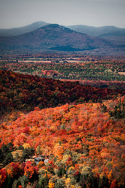 istock View of a Countryside Farm Surrounded by Vibrant Autumn Forest 2243250607