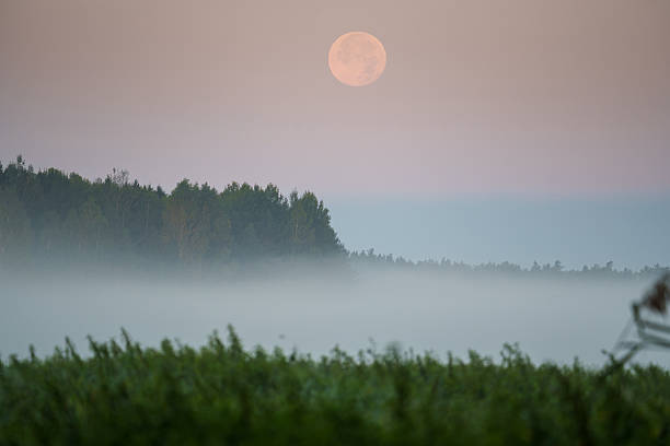 istock Full Moon Over Misty Forest and Field 2243258920